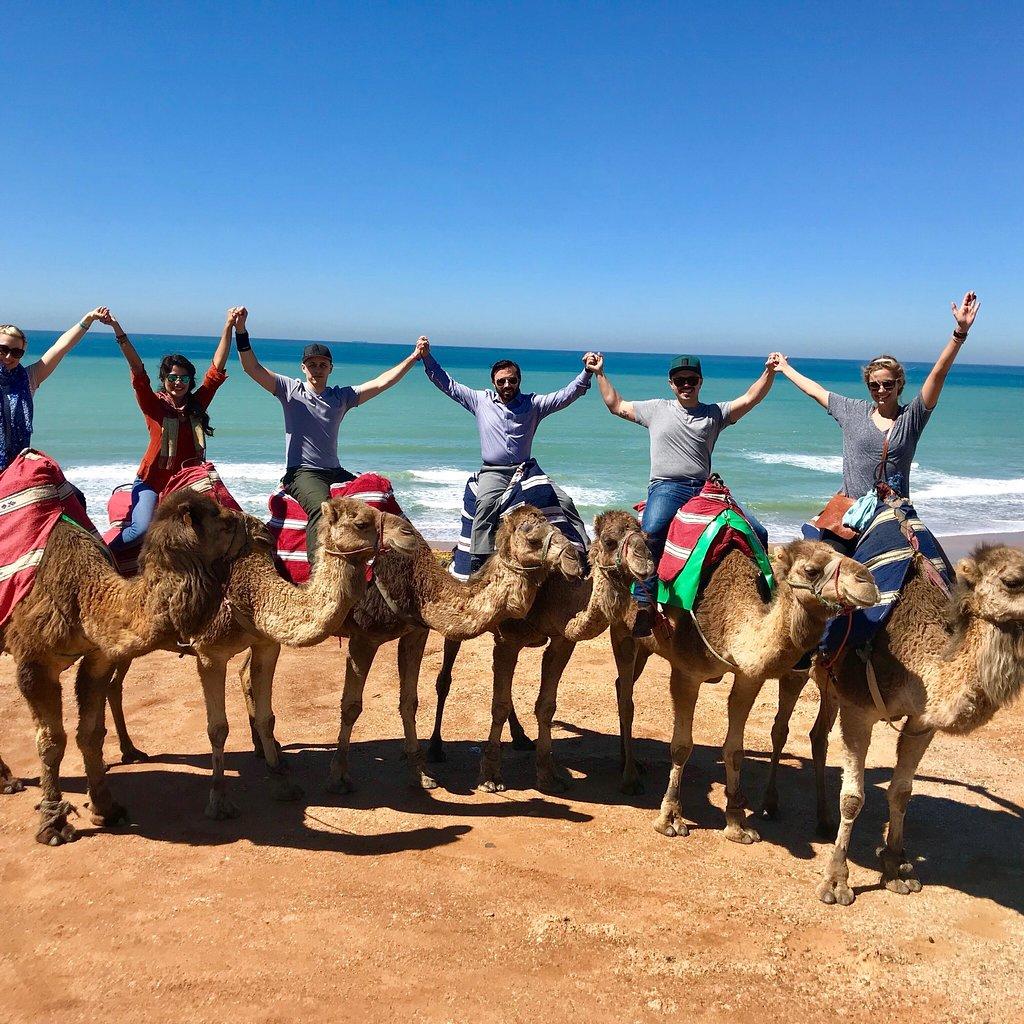 Gallery - camel ride in Tangier - the hands up ritual