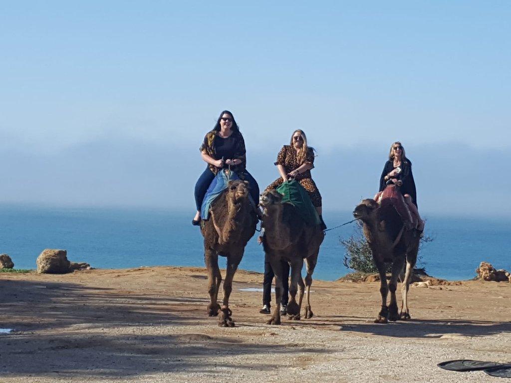 Gallery - Camel ride with friends