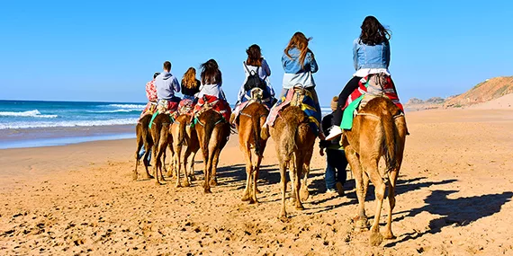 Tour of Tangier - camel ride with friends