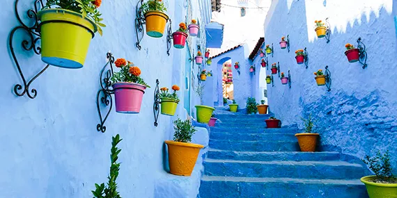 Tangier and Chefchaouen Private tours in 2 days - 2 day Trip to Asilah Tétouan Chefchaouen from and back to Tangier - Blue shaded stairs