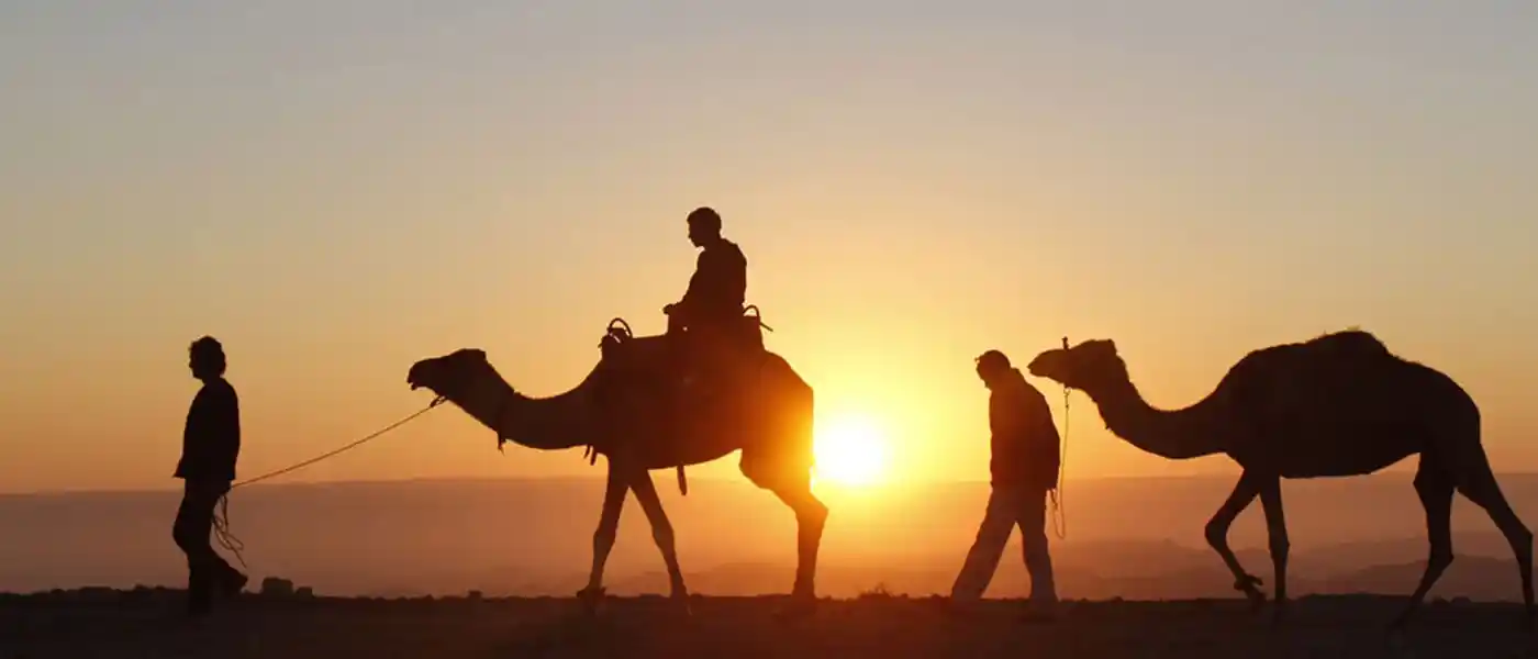 What to do in Morocco - Camel Ride - Sahara Desert - Vacation in Morocco